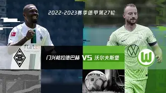 九州官方网站-拜仁主场轻取沃尔夫斯堡，保持不败