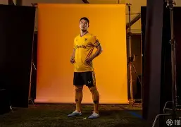 九州平台-狼队主场踌躇满志斯旺西客场发挥出色的简单介绍