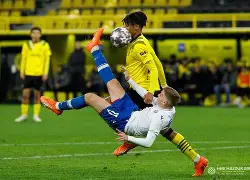 九州官方网站-多特蒙德惨遭淘汰，欧冠征程提前结束