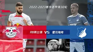 关于霍芬海姆进攻火力不足，争议不断的信息